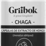 Chaga
