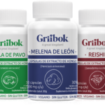 Eje Microbiota-Cerebro