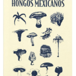 Fanzine hongos mexicanos